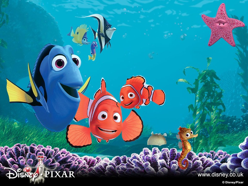 Hľadá sa NEMO - Kde je Flakotorka?